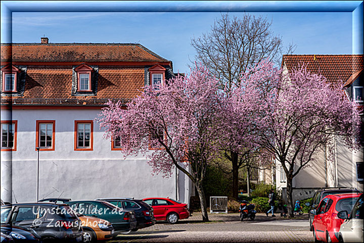 Der Frühling zeigt sich