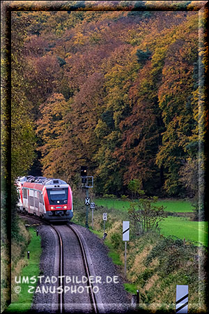 Odenwaldbahn fährt im Herbstwald